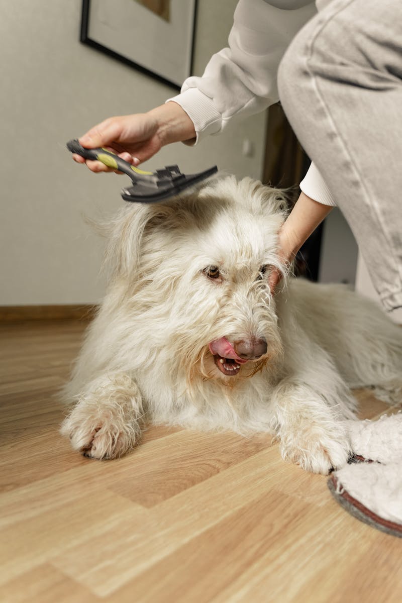 PetPaw™ Grooming Gloves - Silicone Pet Hair Removal Gloves